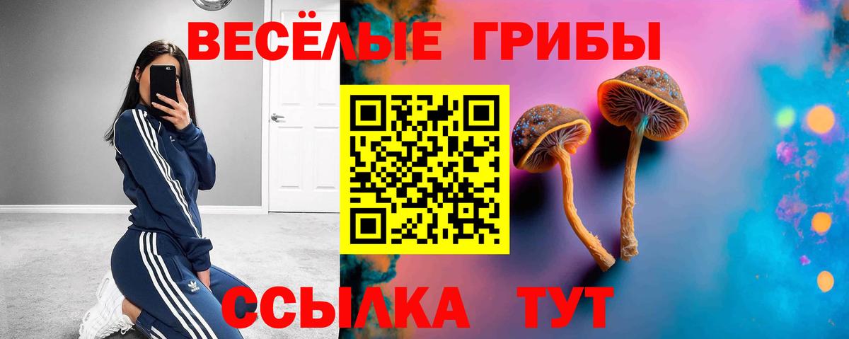 Псилоцибиновые грибы прущие грибы  Вход с VPN  Сальск 