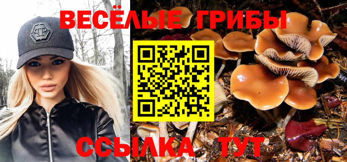 Псилоцибиновые грибы прущие грибы Сальск